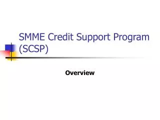 SMME Credit Support Program (SCSP)