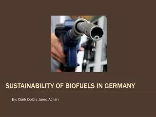 Sustainability of Biofuels in Germany