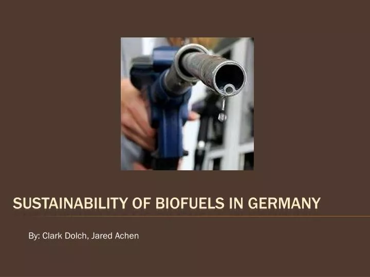 sustainability of biofuels in germany