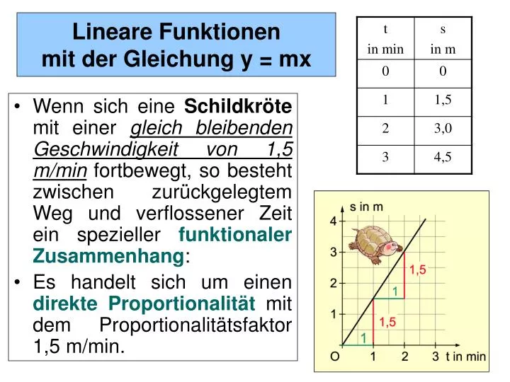 lineare funktionen mit der gleichung y mx