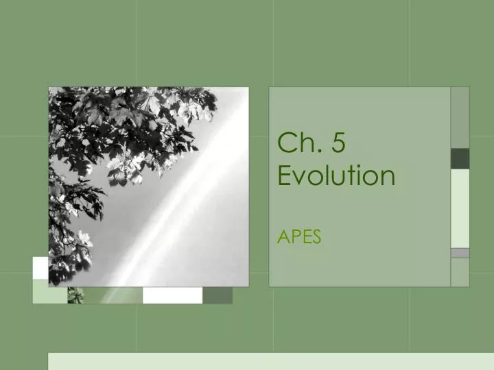 ch 5 evolution