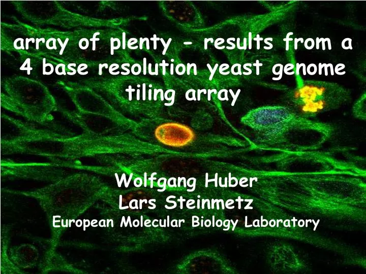 array of plenty results from a 4 base resolution yeast genome tiling array