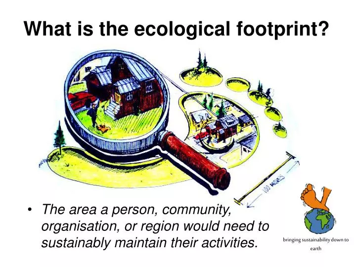 what is the ecological footprint