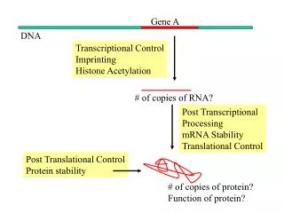 DNA