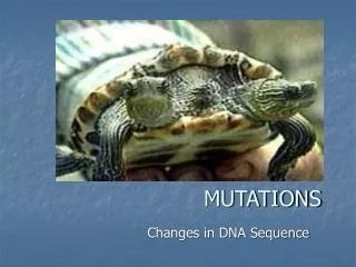 mutations