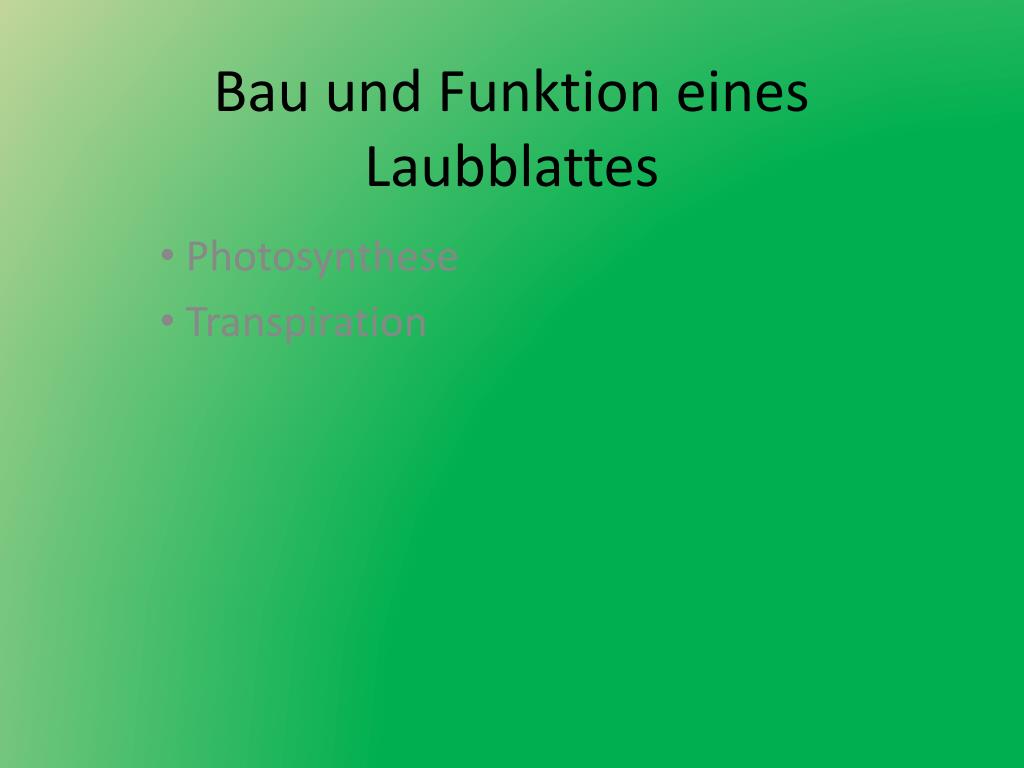 PPT - Bau und Funktion eines Laubblattes PowerPoint Presentation, free