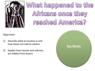 What happened to the Africans once they reached America?
