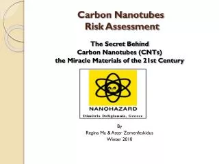 Carbon Nanotubes Risk Assessment