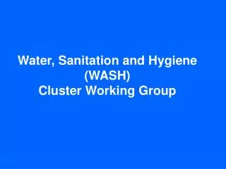 Water, Sanitation and Hygiene (WASH) Cluster Working Group