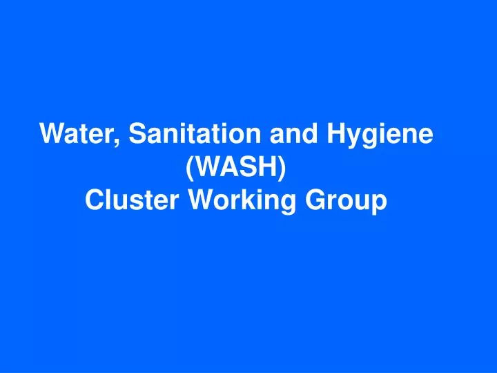 water sanitation and hygiene wash cluster working group