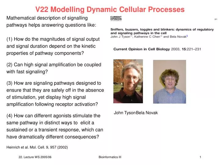 v22 modelling dynamic cellular processes