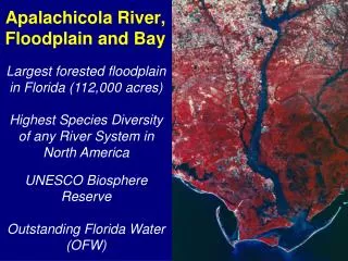 Apalachicola River, Floodplain and Bay