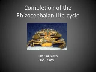 Completion of the Rhizocephalan Life-cycle