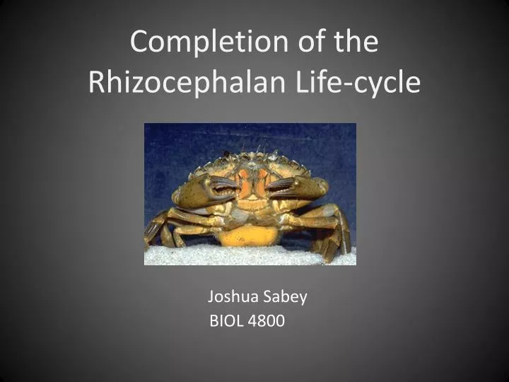 completion of the rhizocephalan life cycle