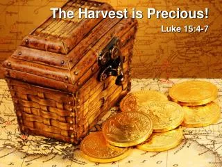 The Harvest is Precious!