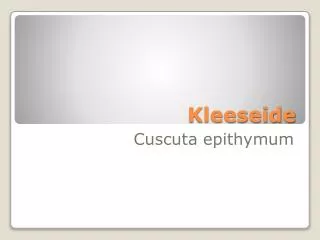 kleeseide