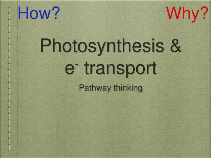 photosynthesis e transport