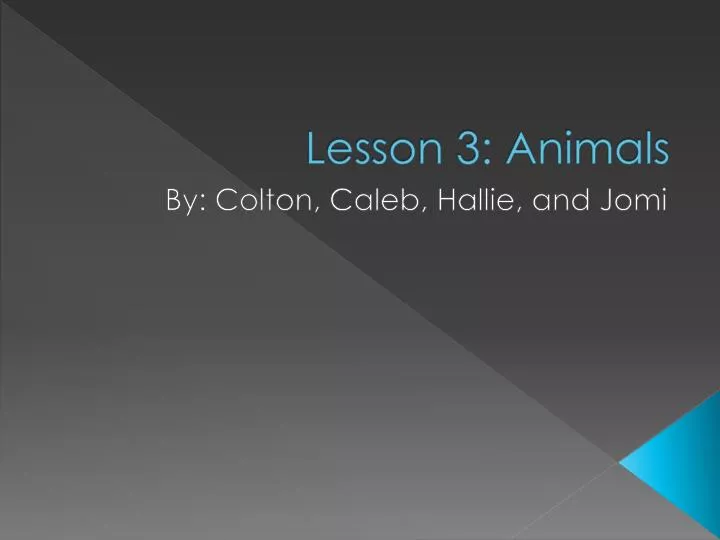 lesson 3 animals