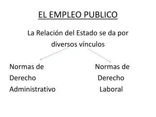 el empleo publico