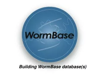 Building WormBase database(s)
