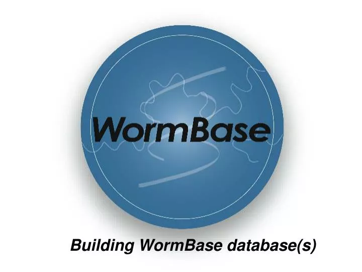 building wormbase database s