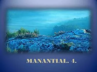 manantial 4