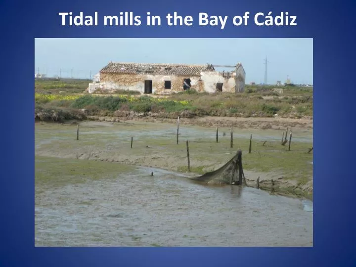 tidal mills in the bay of c diz