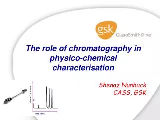 The role of chromatography in physico-chemical characterisation