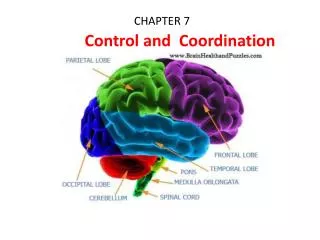 CHAPTER 7 Control and Coordination