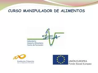 curso manipulador de alimentos