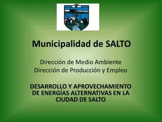 municipalidad de salto