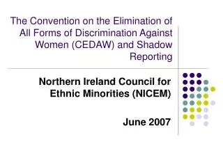 Northern Ireland Council for Ethnic Minorities (NICEM) June 2007