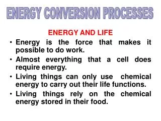 ENERGY AND LIFE Energy is the force that makes it possible to do work.