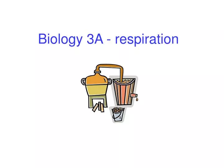 biology 3a respiration