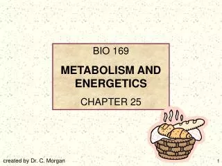 BIO 169 METABOLISM AND ENERGETICS CHAPTER 25