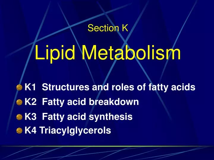 section k lipid metabolism