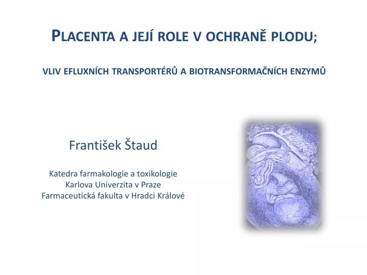 placenta a jej role v ochran plodu vliv efluxn ch transport r a biotransforma n ch enzym