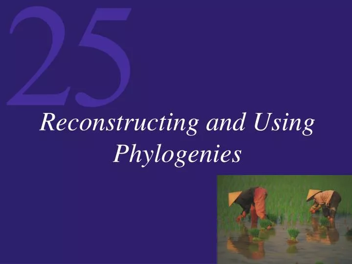 reconstructing and using phylogenies
