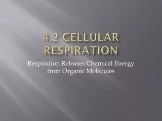 4.2 Cellular Respiration