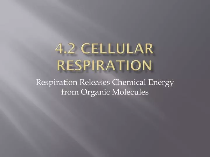 4 2 cellular respiration