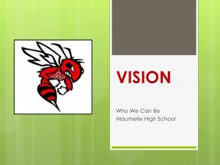 vision