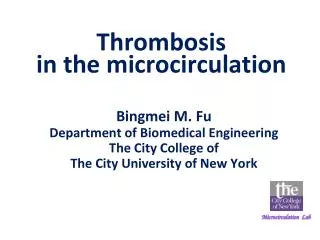 Thrombosis in the microcirculation