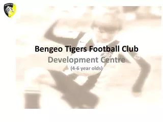 Bengeo Tigers Football Club Development Centre (4-6 year olds)