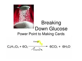 Breaking Down Glucose