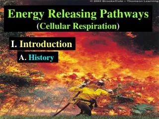 Energy Releasing Pathways ( Cellular Respiration )