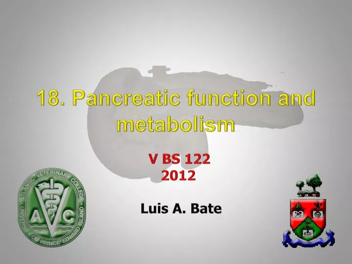 18 pancreatic function and metabolism