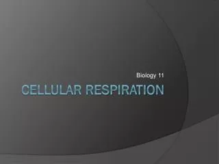 Cellular respiration