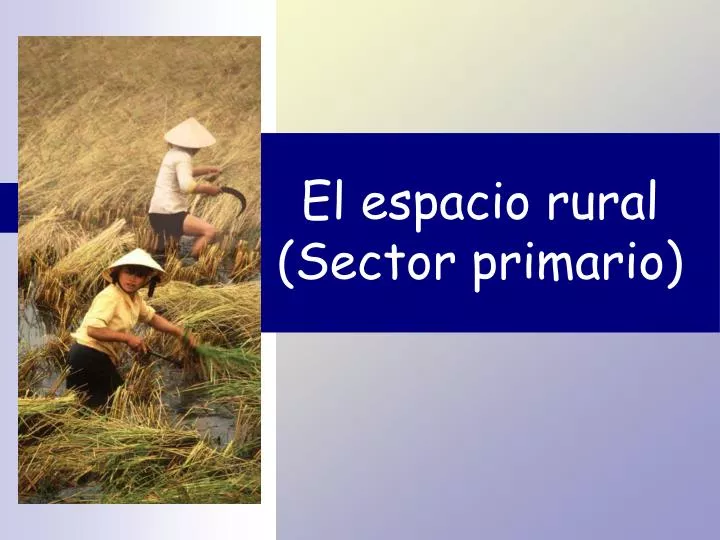 el espacio rural sector primario