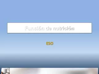 funci n de nutrici n