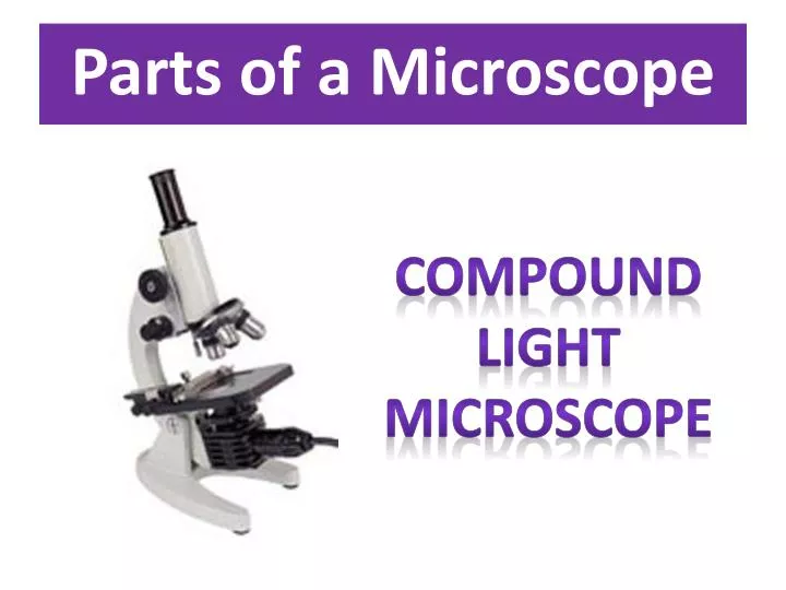 parts of a microscope